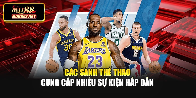 Các sảnh thể thao cung cấp nhiều sự kiện hấp dẫn