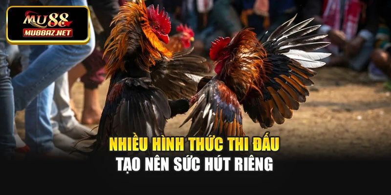 Nhiều hình thức thi đấu tạo nên sức hút riêng