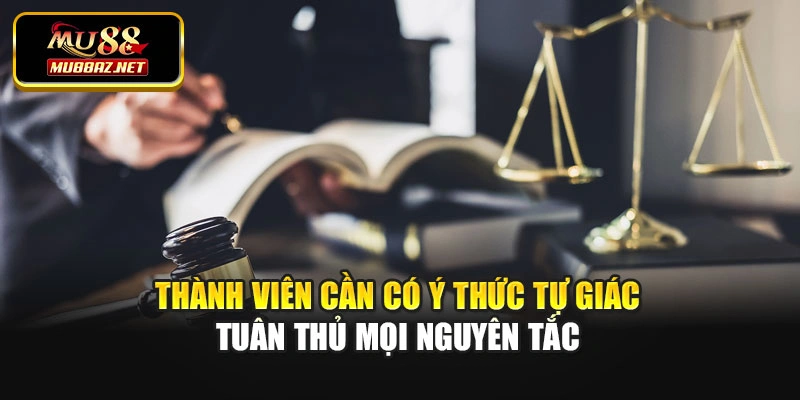 Thành viên cần có ý thức tự giác tuân thủ mọi nguyên tắc