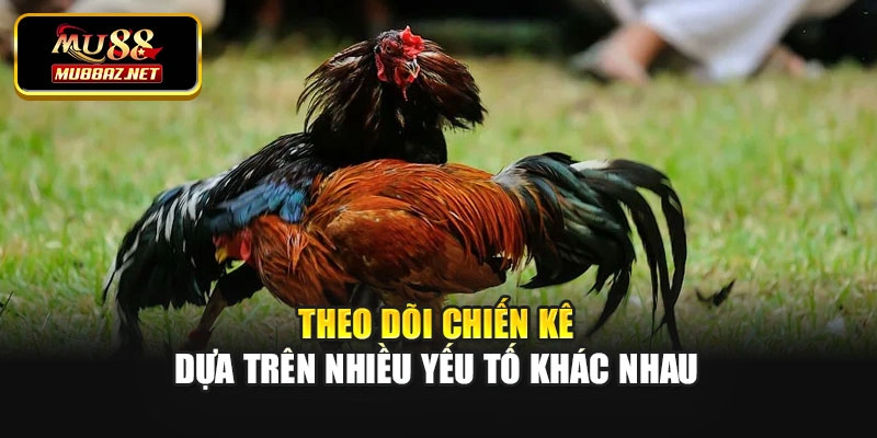 Theo dõi chiến kê dựa trên nhiều yếu tố khác nhau